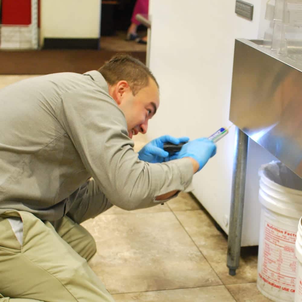 pest control specialist treating restaurant for cockroaches